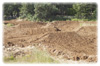 MX Track Constructed - (Practice Track)